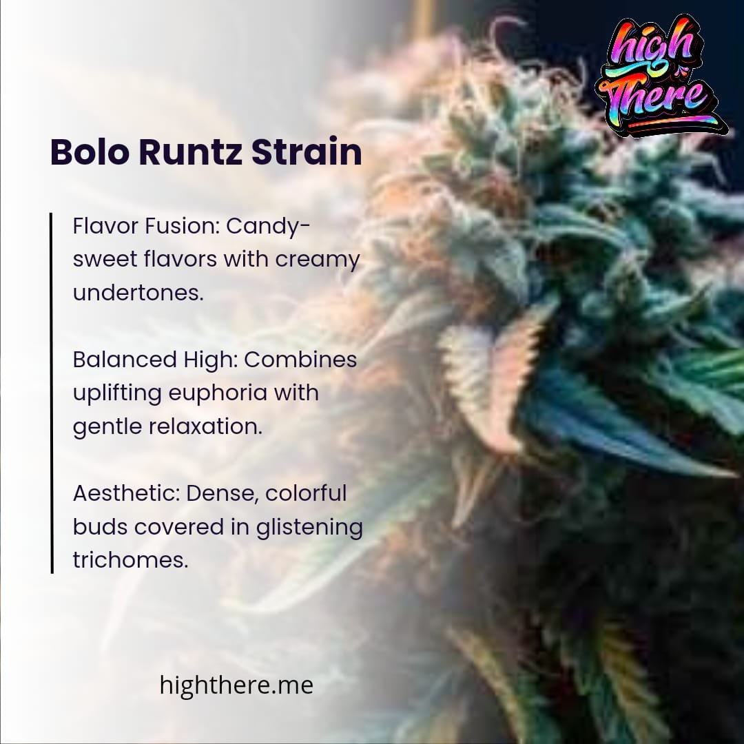 Bolo Runtz Strain