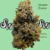 megan fox weed strain