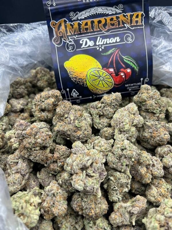 amarena de limon strain indica or sativa