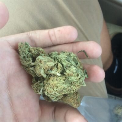 aloha punch strain information