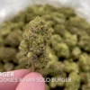 cali burger strain