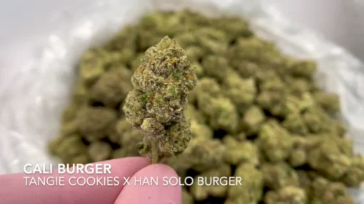 cali burger strain