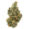 purple milk strain