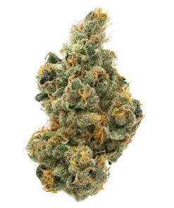 purple milk strain