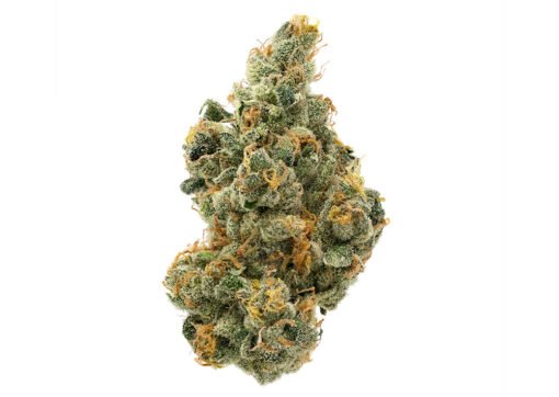 purple milk strain