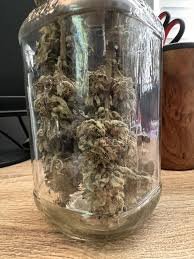 what happens if your weed sticks together in the jar