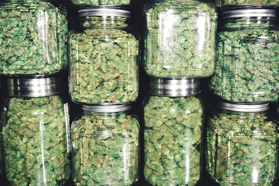 what happens if your weed sticks together in the jar