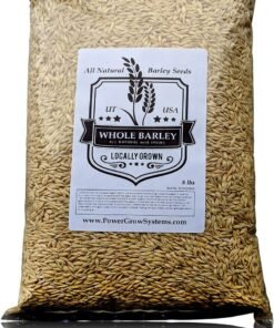 barley seeds