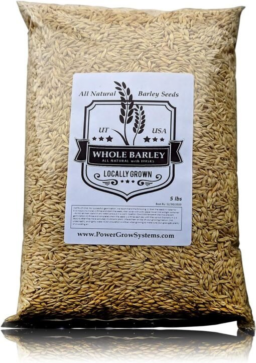 barley seeds