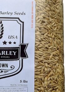barley seeds