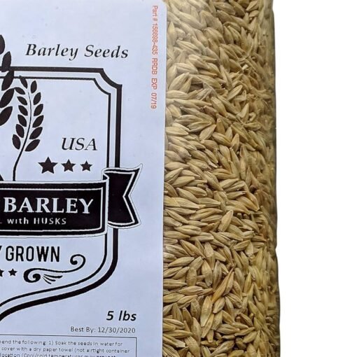 barley seeds