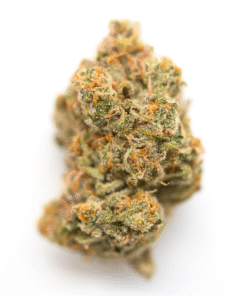 giraffe puzzy strain