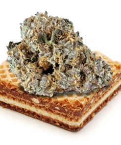 vanilla wafers strain