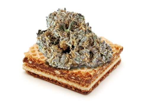 vanilla wafers strain