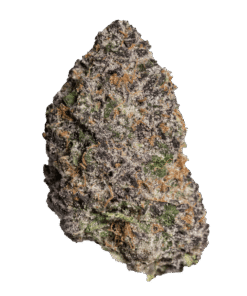 Gary Payton x Runtz 28g