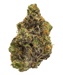 Peanut Butter Breath 28g