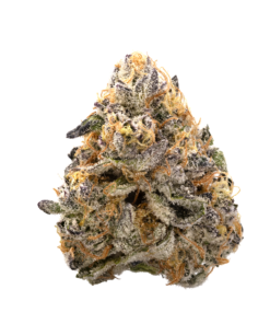 garlic breath strain