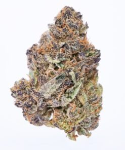 first class funk strain