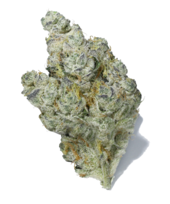 brownie scout strain