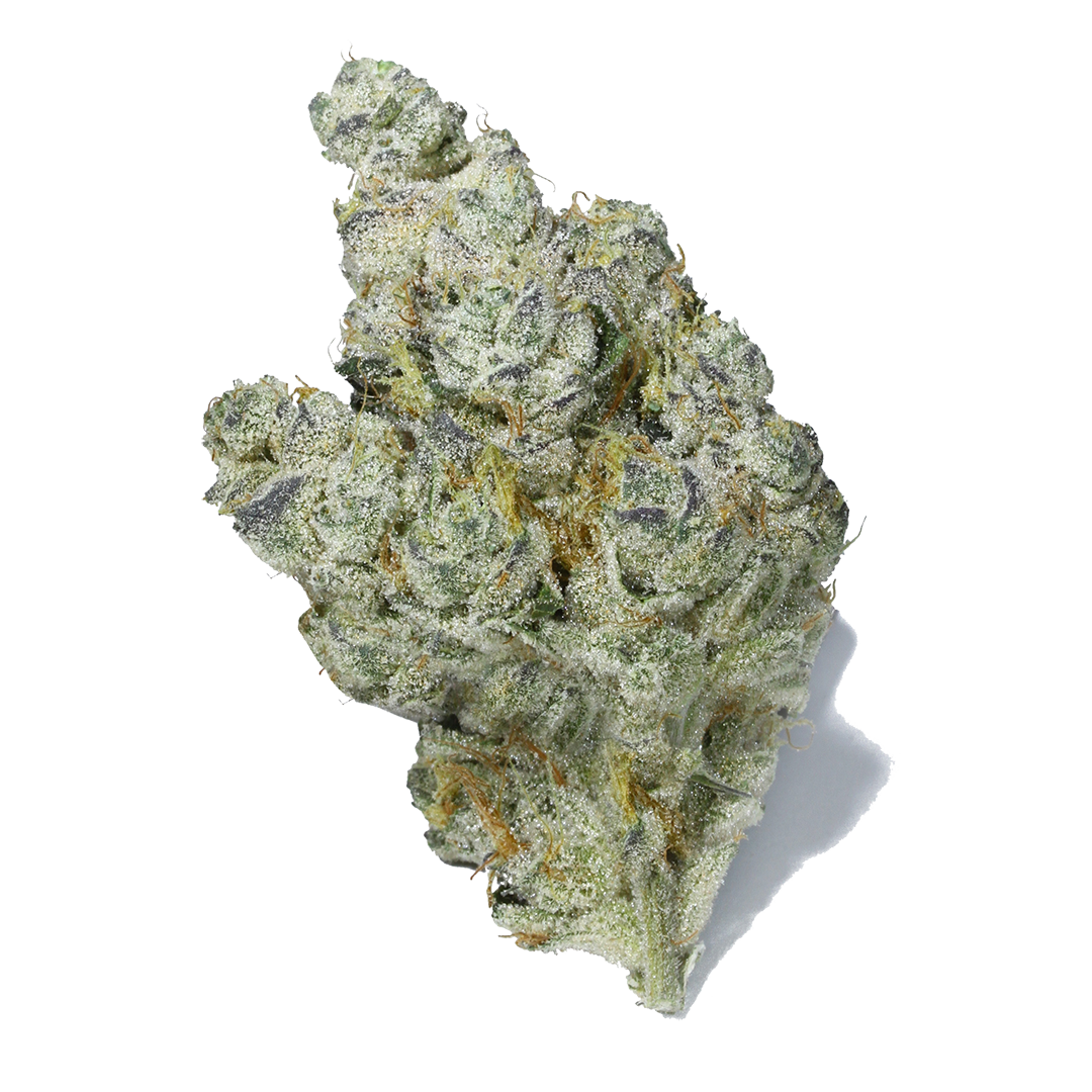 brownie scout strain 28g 1 brownie scout strain