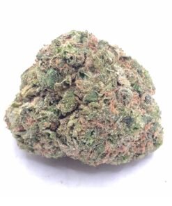 planet of the grapes strain