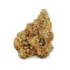 lemon tree strain 28g 2 lemon tree strain